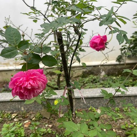 Nhat Long Homestay Hué Eksteriør billede