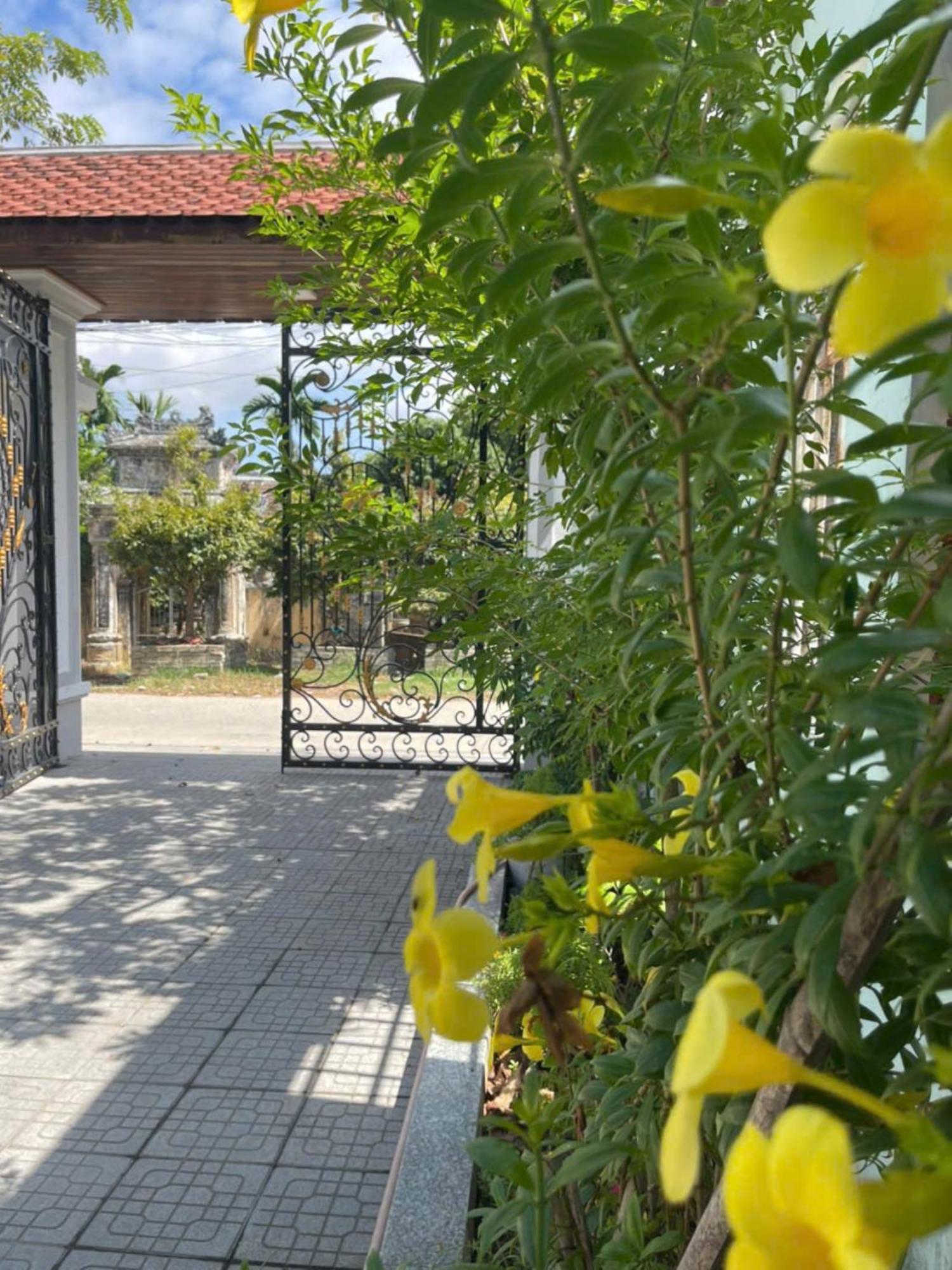 Nhat Long Homestay Hué Eksteriør billede