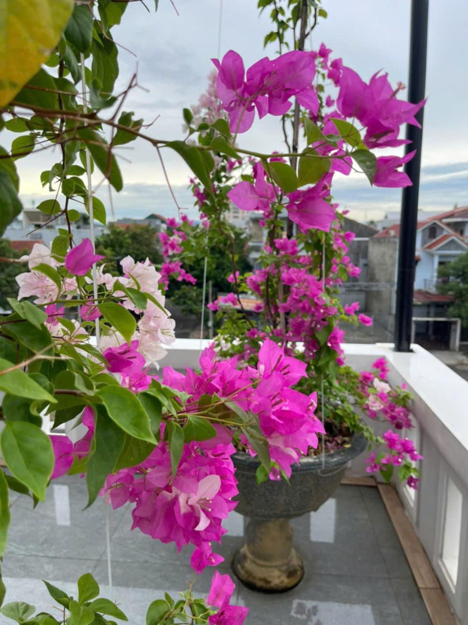 Nhat Long Homestay Hué Eksteriør billede